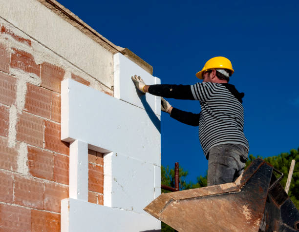 Best Specialized Insulation Services in Farmer City, IL