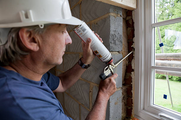 Best Geographic-Specific Insulation Services in Farmer City, IL
