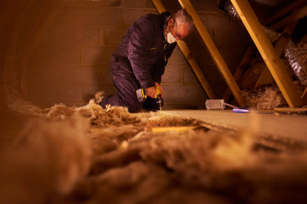 Best Specialized Insulation Services in Farmer City, IL