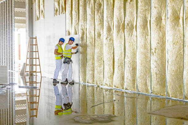 Best Geographic-Specific Insulation Services in Farmer City, IL